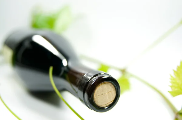Fles wijn — Stockfoto