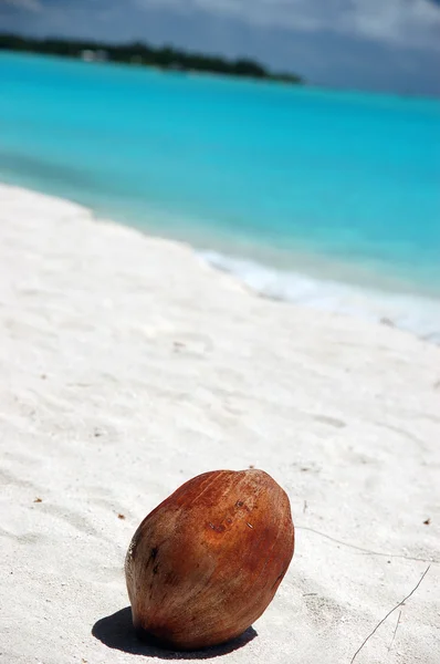 Praia de coco — Fotografia de Stock