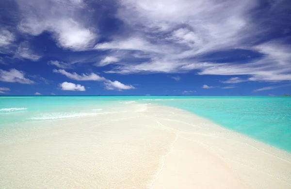 Cypel tropikalnej plaży — Zdjęcie stockowe