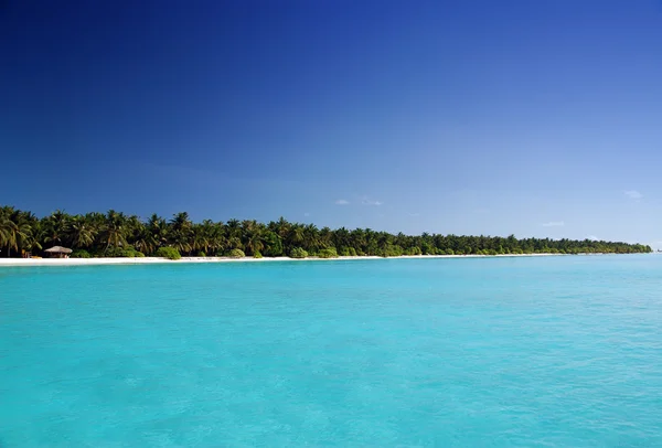 热带海滩 免版税图库照片