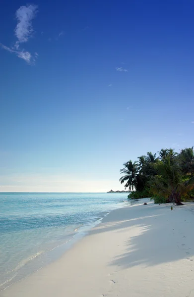热带海滩 免版税图库图片