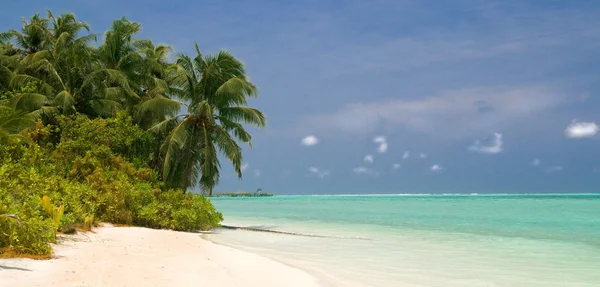 Gyönyörű trópusi strand — Stock Fotó
