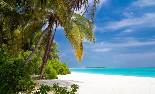 Beautiful tropical beach Stock Image