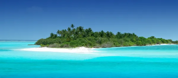 Тропический остров Стоковое Изображение