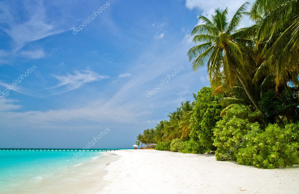 Tropischer Strand