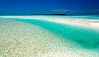 Head of a beautiful beach