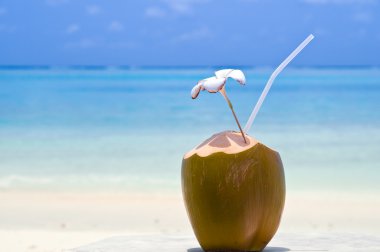 Tropical Coconut Cocktail clipart