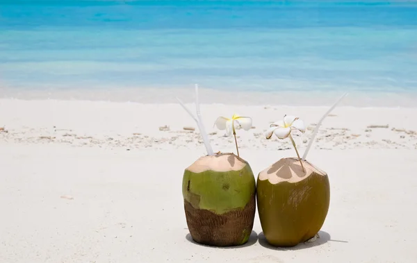 Тропический кокосовый коктейль — стоковое фото