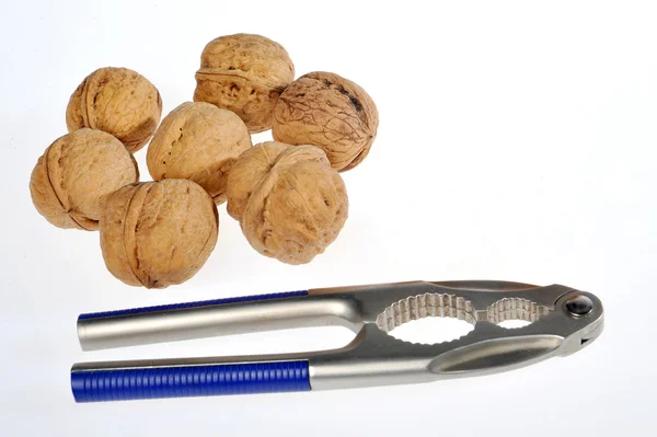 Stock image Walnut