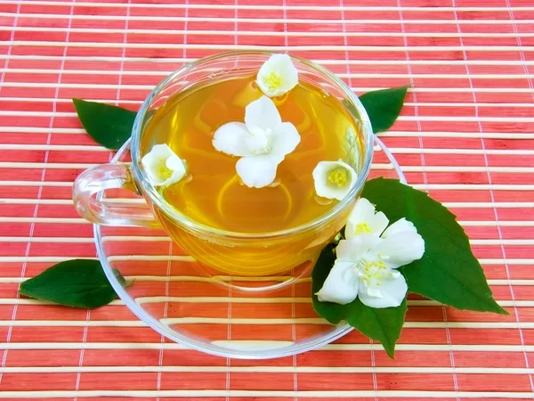Tazza trasparente con tè ai gelsomini — Foto Stock