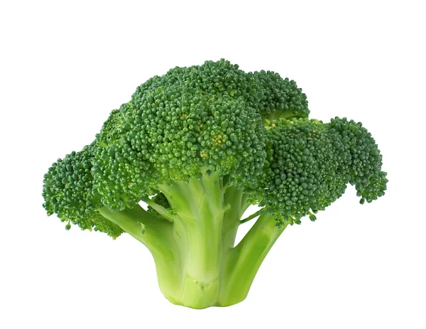 stock image Head broccoli close-up on a white