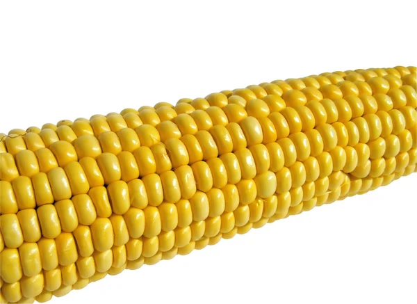 Спелые кукурузы на белом — стоковое фото
