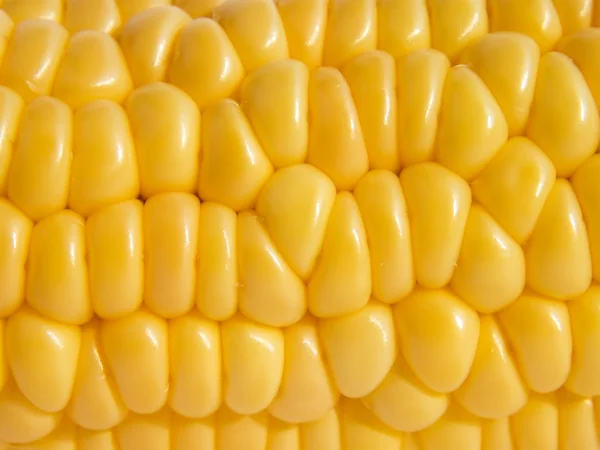 Kolby kukurydzy jako tło — Zdjęcie stockowe