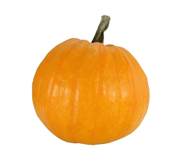 Ripe whole pumpkin on white — Stock Photo, Image