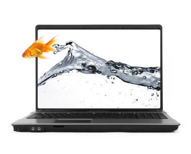 Goldfish jumping out of the notebook clipart