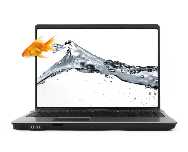 Złota rybka, skoki z notebooka — Zdjęcie stockowe