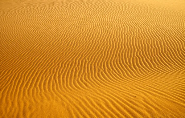 Fundo da duna de areia — Fotografia de Stock