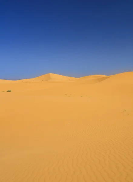 Sand dunes and cloudless dark sky — Stock Photo, Image
