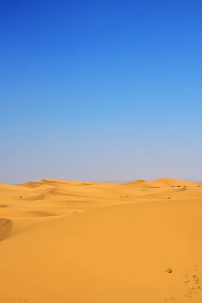 Sand dunes and cloudless blue sky — Stock Photo, Image