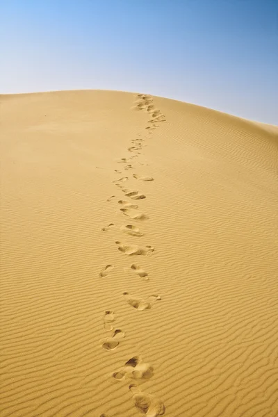 Kum tepeleri ve bulutsuz mavi gökyüzü