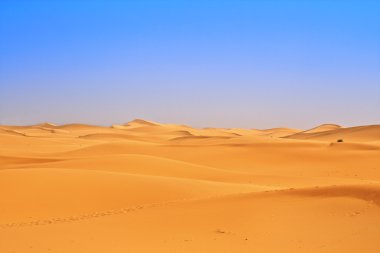 Wide view of sand dunes clipart