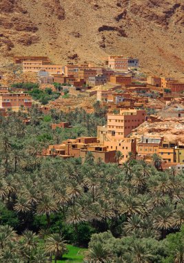 Village among Moroccan hills clipart