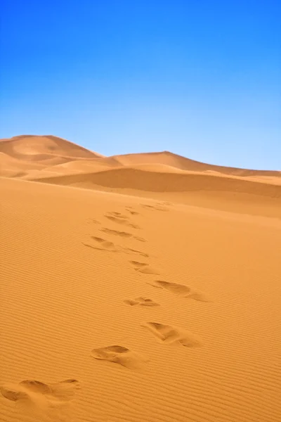 Footsteps on sand dunes — Stock Photo, Image