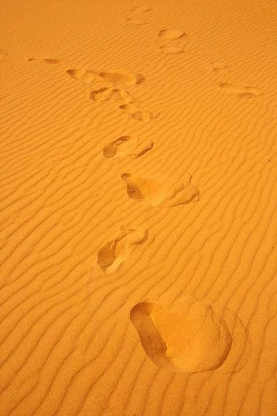 Fußstapfen auf Sanddünen — Stockfoto