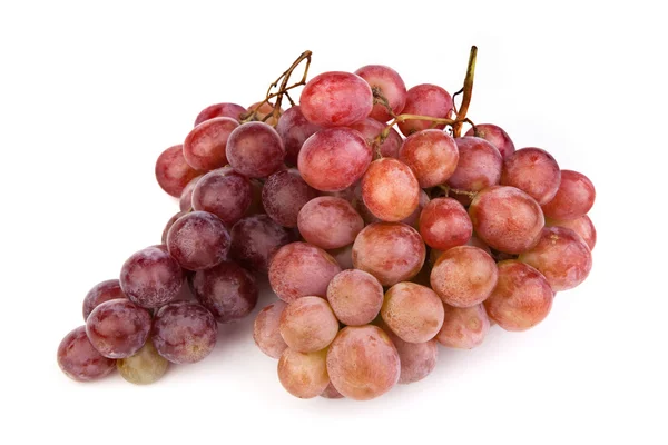 Photo of dark grapes on white — Stock Photo, Image