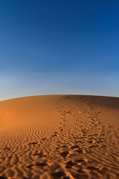 Sunset over desert — Stock Photo, Image