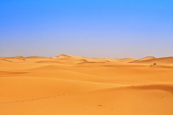 Wide view of sand dunes — Stock Photo, Image