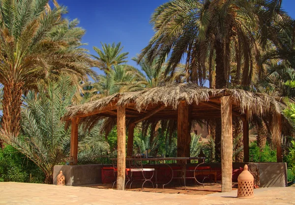 阿伯之间的棕榈树 — 图库照片
