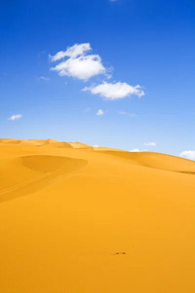 Sand dunes and cumulus clouds — Stock Photo, Image