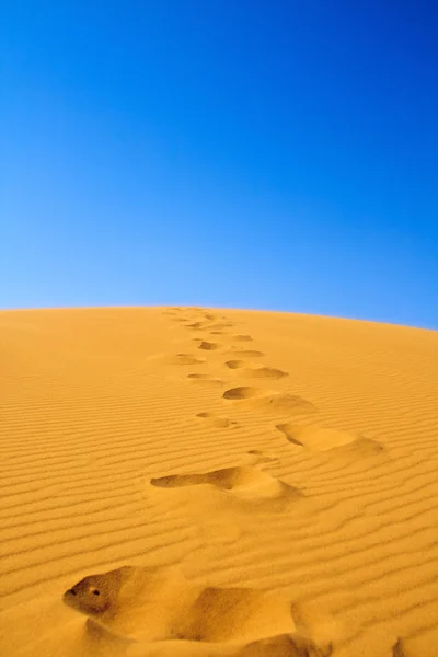 Footsteps on sand dunes — Stock Photo, Image