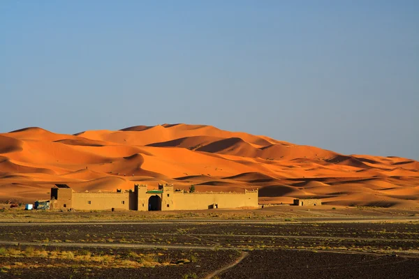 Bordo del deserto del Sahara — Foto Stock