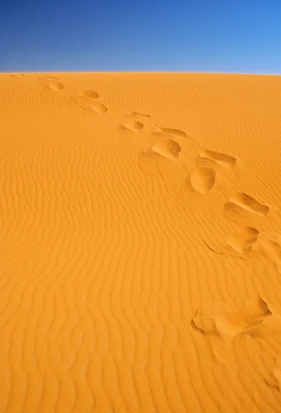 Passos em dunas de areia — Fotografia de Stock