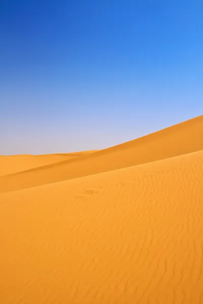 Dune di sabbia - Erg Chebbi — Foto Stock