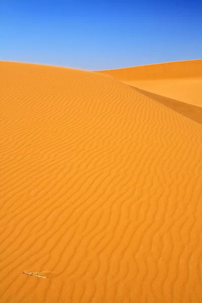 Dunes de sable et ciel bleu sans nuages — Photo