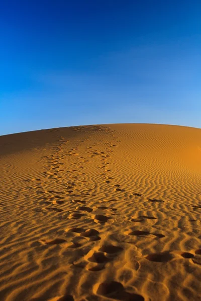 Sunset over sand dune — Stock Photo, Image