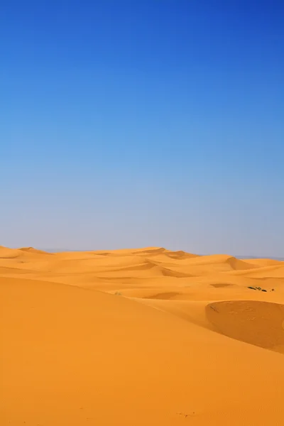 Dunas de areia verticais — Fotografia de Stock