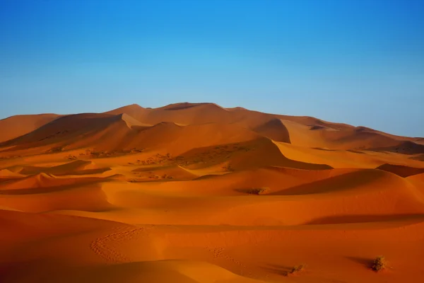 Pôr do sol sobre dunas de areia — Fotografia de Stock