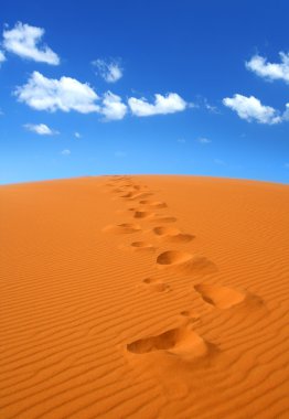 Walking on Sahara clipart