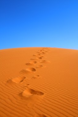 Walking on Sahara desert clipart