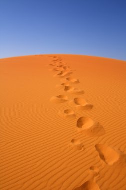 Walking on Sahara clipart