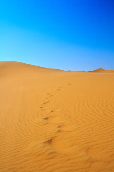 Vista feliz de dunas de areia — Fotografia de Stock