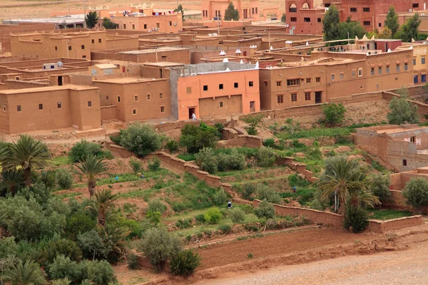 Campo marroquino — Fotografia de Stock