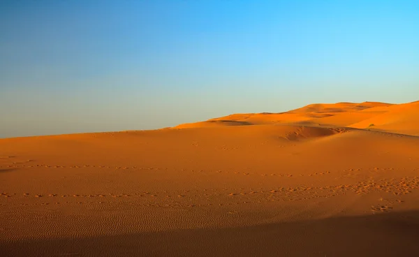 Zonsondergang over de sahara — Stockfoto