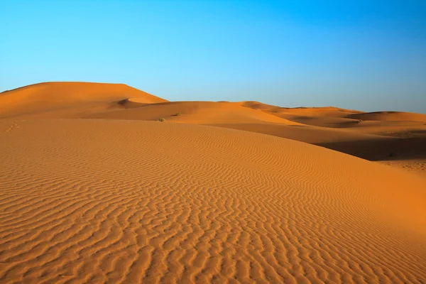 Захід сонця над Сахарі — стокове фото