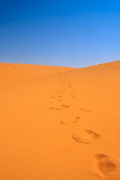 Walking on sand dunes — Stock Photo, Image