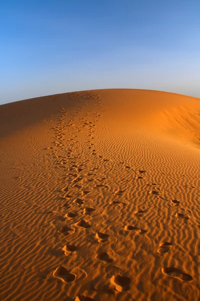 Захід сонця над пустеля Сахара — стокове фото